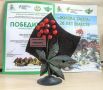 Сотрудники ГТРК «Амур» стали лауреатами XX Дальневосточного конкурса природоохранной журналистики «Живая тайга»
