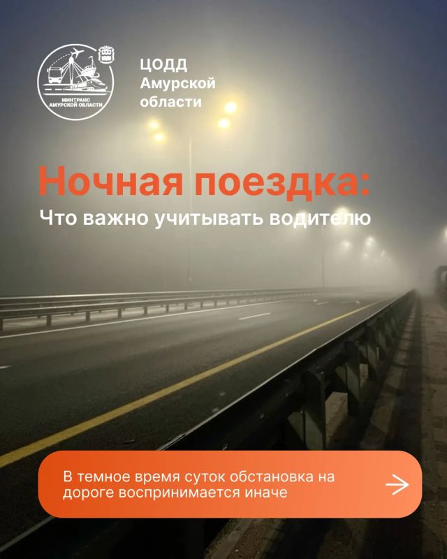 Ночью все кошки серы, а дороги - полны неожиданностей