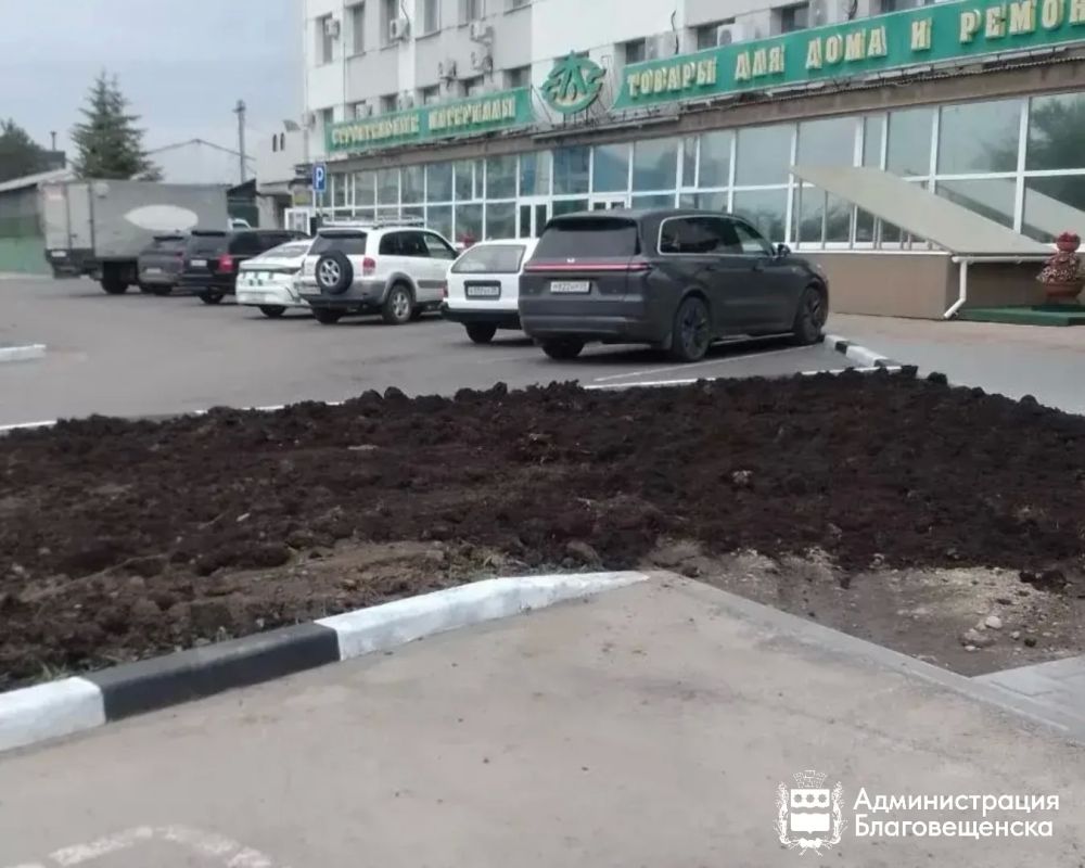 Современные технологии и ручной труд: в Благовещенске обновили более 16 тысяч «квадратов» газонов с мая Современные технологии и ручной труд: в Благовещенске обновили более 16 тысяч «квадратов» газонов с мая