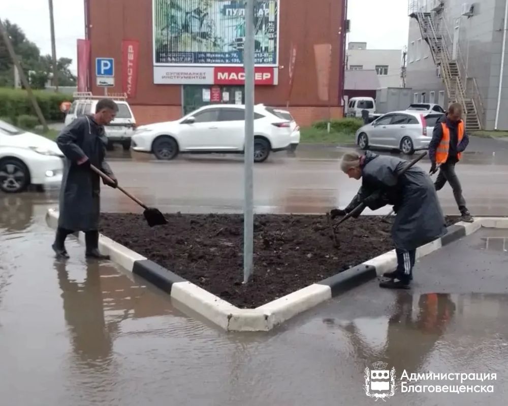 Современные технологии и ручной труд: в Благовещенске обновили более 16 тысяч «квадратов» газонов с мая Современные технологии и ручной труд: в Благовещенске обновили более 16 тысяч «квадратов» газонов с мая