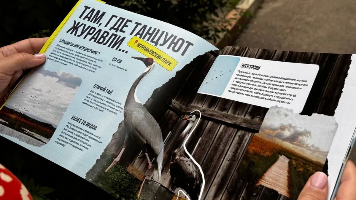 Самые интересные природные локации Амурской области собрали в одном путеводителе! Самые интересные природные локации Амурской области собрали в одном путеводителе!