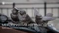 Праздничные выходные в Благовещенске: два дня ярких событий