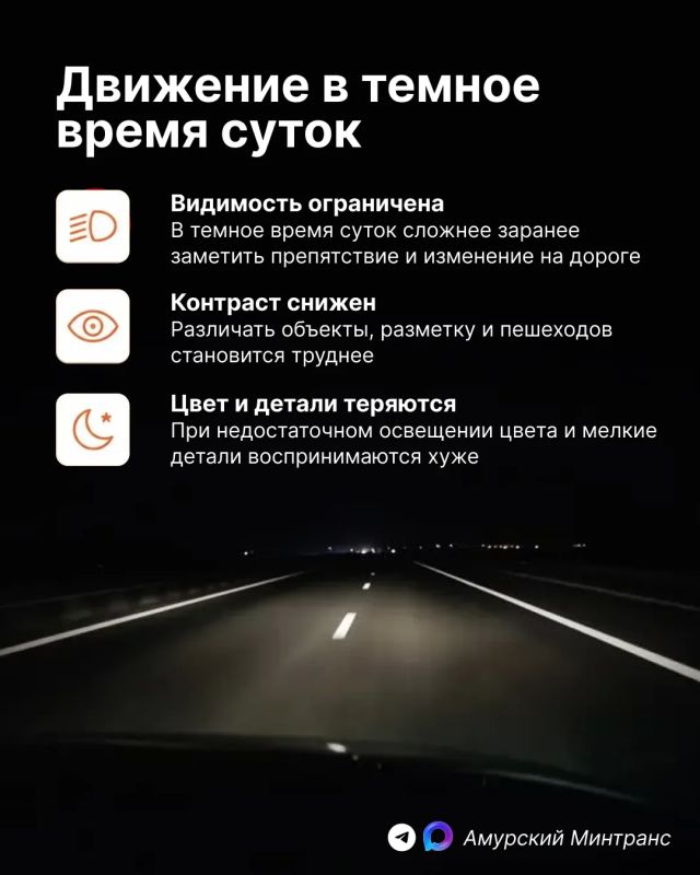 Ночью все кошки серы, а дороги - полны неожиданностей Ночью все кошки серы, а дороги - полны неожиданностей