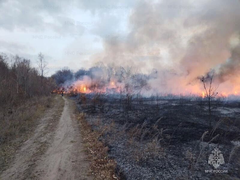 На всей территории Амурской области сняли особый противопoжарный режим