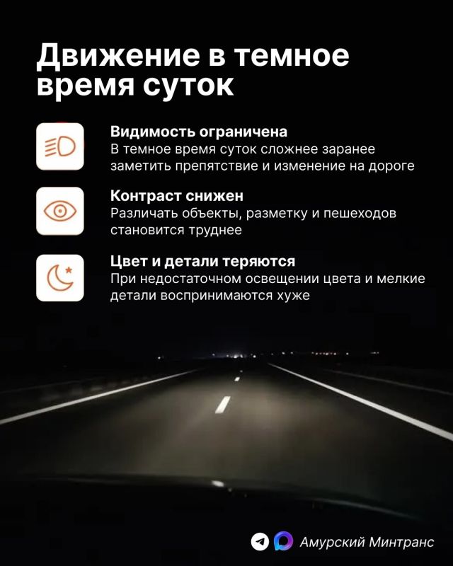 Ночью все кошки серы, а дороги - полны неожиданностей Ночью все кошки серы, а дороги - полны неожиданностей