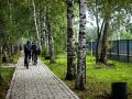 Более 10,5 тыс. парков обновили в России с 2017 года