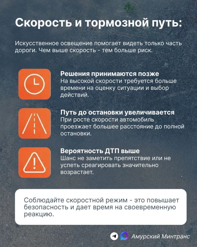Ночью все кошки серы, а дороги - полны неожиданностей Ночью все кошки серы, а дороги - полны неожиданностей