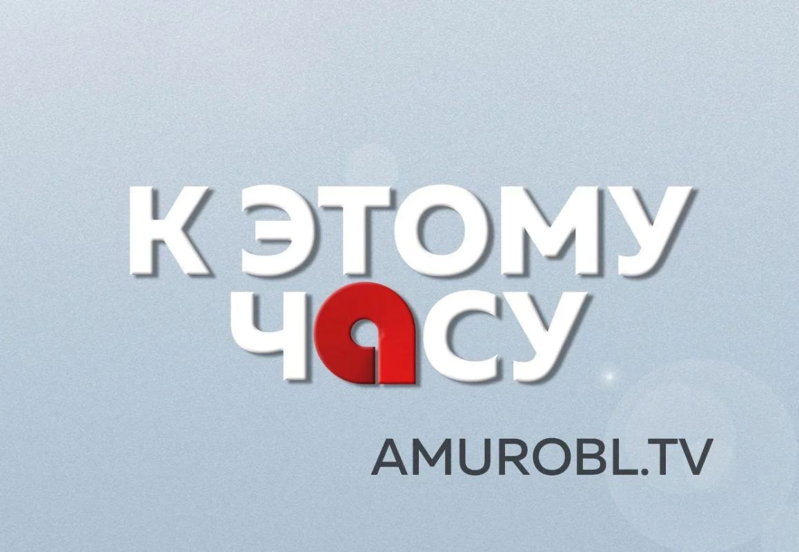 «Сбит с ног — сражайся на коленях»: как прошёл урок мужества для юных амурчан в «Колоске»