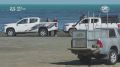 Одного из четырех переданных Россией Казахстану амурских тигров выпустили на волю