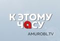 Амурский картингист вошёл в пятёрку лучших на этапе «Ротакс» в Подольске