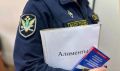 Амурчанин, испугавшись уголовной ответственности, оплатил 500 000 рублей долга по алиментам