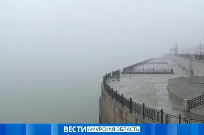 Грозы, туман и до +31 градуса: прогноз погоды в Приамурье на 6 августа