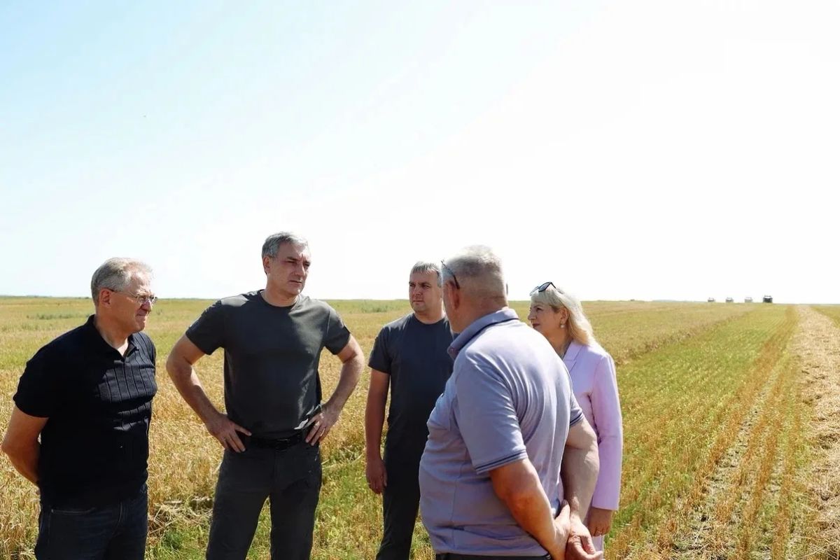 Василий Орлов: В регионе стартовала уборка ранних зерновых Василий Орлов: В регионе стартовала уборка ранних зерновых