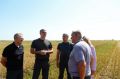 Высокая урожайность несмотря на дожди: губернатор Василий Орлов оценил уборочную на полях Ивановского округа