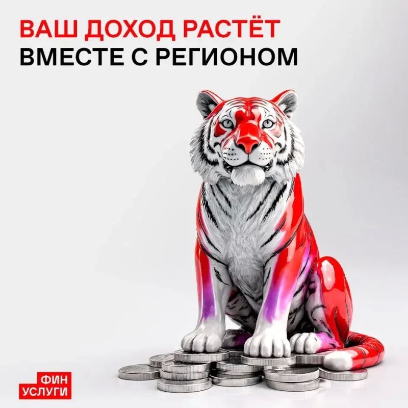 Что делает народные облигации Амурской области надежным финансовым инструментом