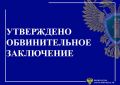 В Благовещенске будут судить амурчанку, укусившую полицейского