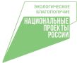 Будущий лес начинается в питомнике!