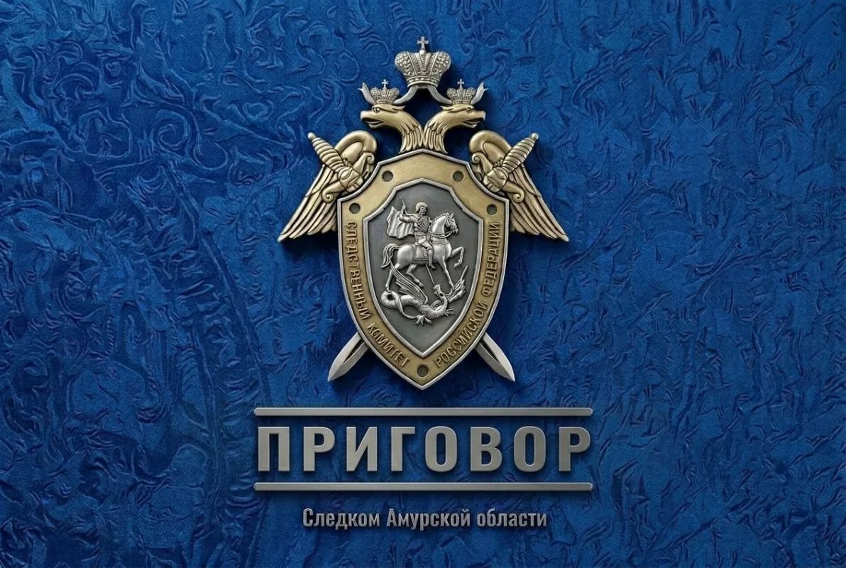 В Зее шесть человек осуждены за незаконную организацию и проведение азартных игр