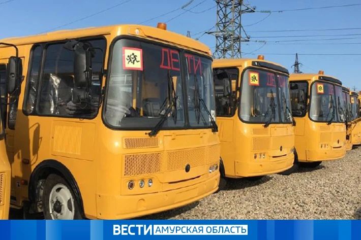 24 новых автобуса поступят для амурских школьников в 2026 году