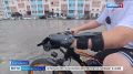 Ампутация кисти, фантомные боли и принятие себя — через это прошел 12-летний благовещенец Владимир Свиридов, который первого января неудачно поджёг остававшийся во дворе салют