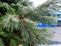 Пятница встретила нас прохладой, но мы не отчаиваемся: впереди выходные