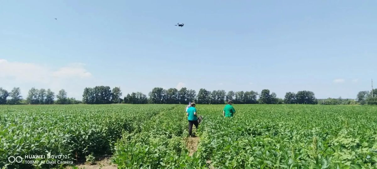В помощь агрономам. Цифровую базу данных для прогнозирования и защиты урожая с помощью искусственного интеллекта создают амурские учёные в содружестве с крупнейшими региональными и российскими холдингами