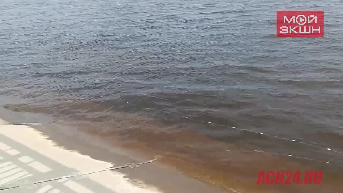 «Средь бела дня!»: жители Благовещенска обнаружили рыболовную сеть на набережной Зеи