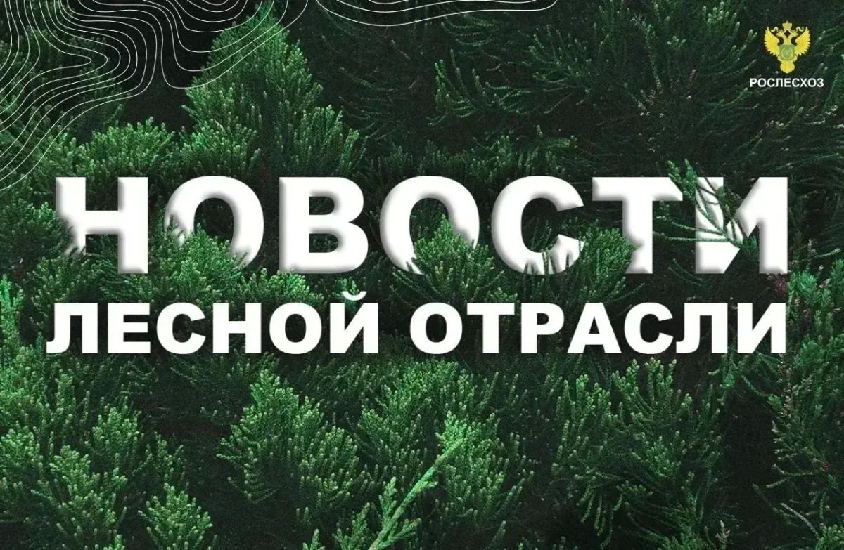 ТАСС: В Югре потушили лесные пожары, с которыми боролись больше двух месяцев