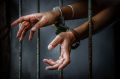 Жительница Завитинского муниципального округа отправится в колонию за систематические нарушения ограничения свободы