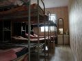 «Я в шоке от того, что такое происходит в наше время»: проводится проверка в отношении амурского реабилитационного центра