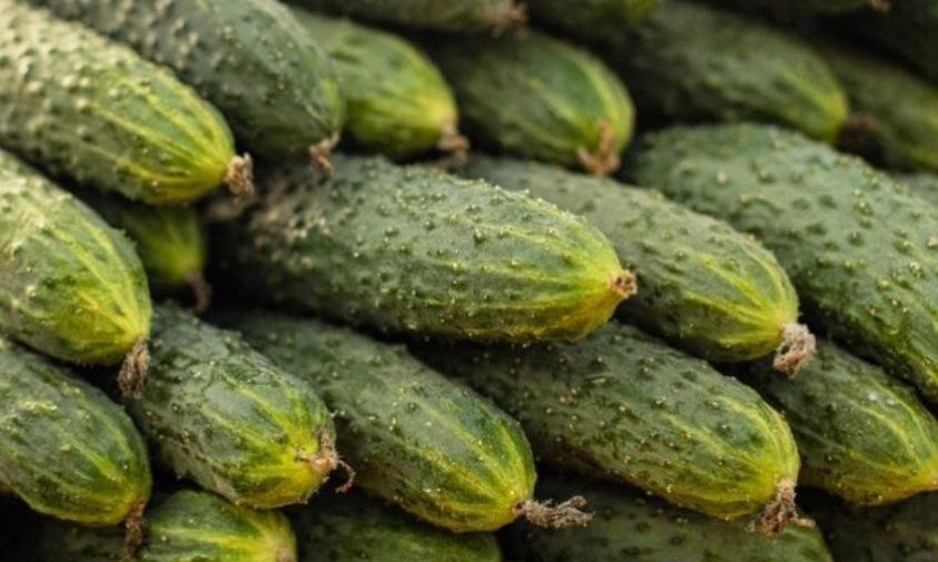 «Налетай на огурцы!»: обзор цен на продукты и услуги в Амурской области за июль 2026 года