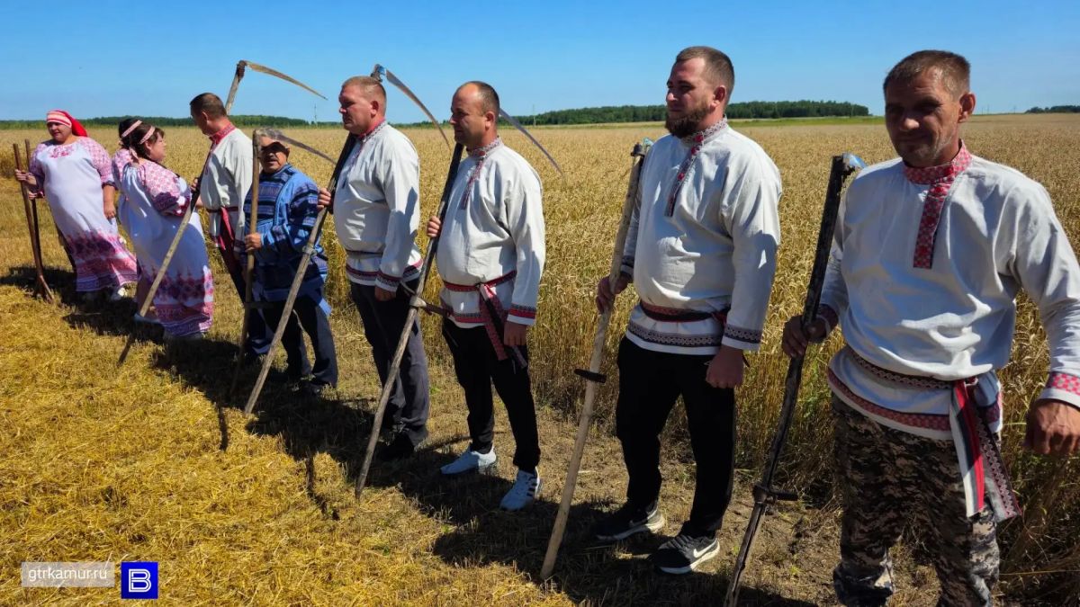 В Ивановском округе прошёл обряд «Зажинки» — начало жатвы по старинной традиции В Ивановском округе прошёл обряд «Зажинки» — начало жатвы по старинной традиции