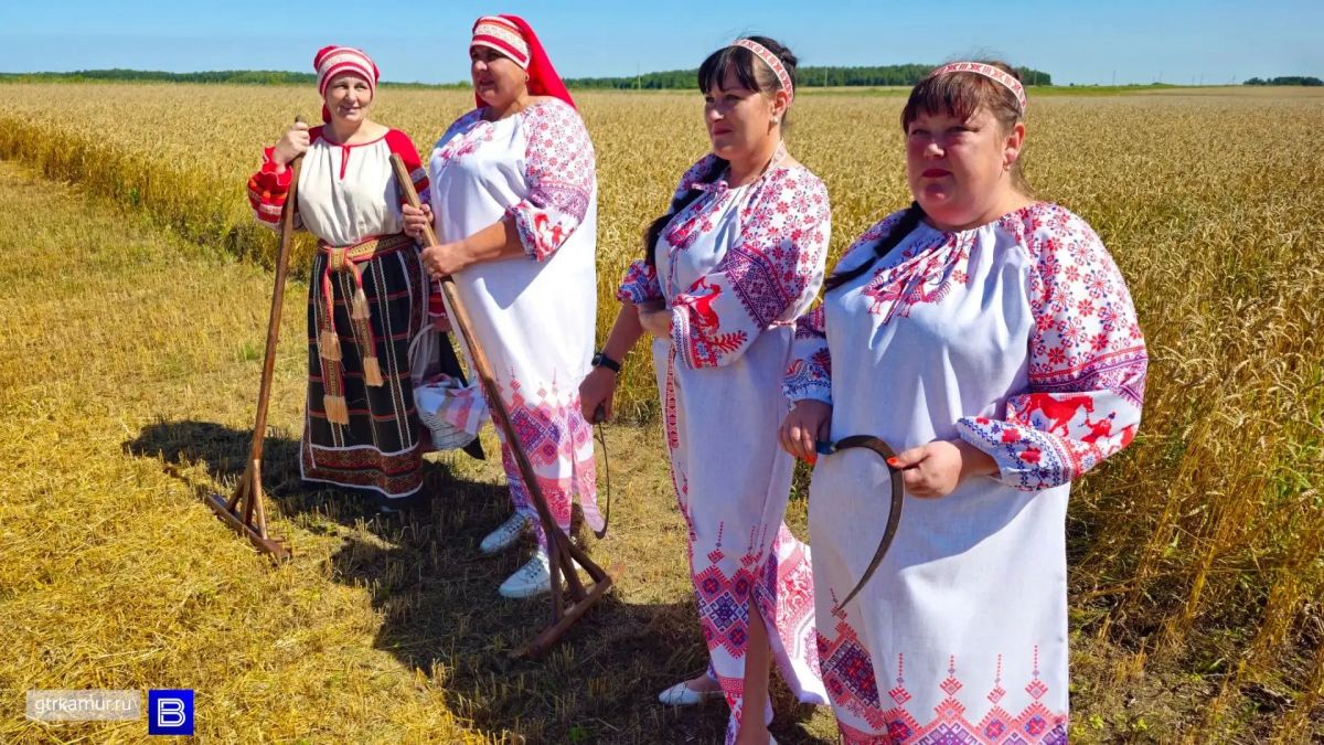 В Ивановском округе прошёл обряд «Зажинки» — начало жатвы по старинной традиции В Ивановском округе прошёл обряд «Зажинки» — начало жатвы по старинной традиции