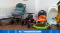 В Приамурье родители могут бесплатно взять коляску или кроватку напрокат