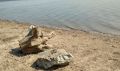 В Благовещенске в реке Зее нашли тело пожилого мужчины