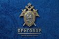 Несовершеннолетний житель Мазановского муниципального округа осужден за применение насилия к сотрудникам полиции