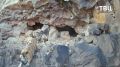 Амурскому тигру не понравилась фотоловушка немецкого фотографа, и он от неё избавился