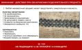 Бесхозные пакеты и игрушки на улице могут оказаться смертельно опасными