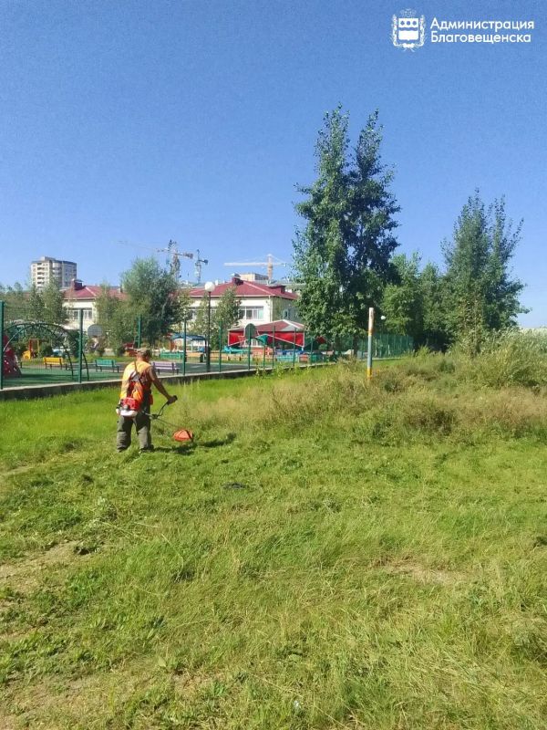 Профилирование, очистка решеток и покос: как в Благовещенске ухаживают за городом в летнее время Профилирование, очистка решеток и покос: как в Благовещенске ухаживают за городом в летнее время