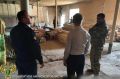 � ������������� ������ ����������� ������������ ��� ������������ ������� ���������� ��������, ��������������� � ������ ���������� ������������� �������