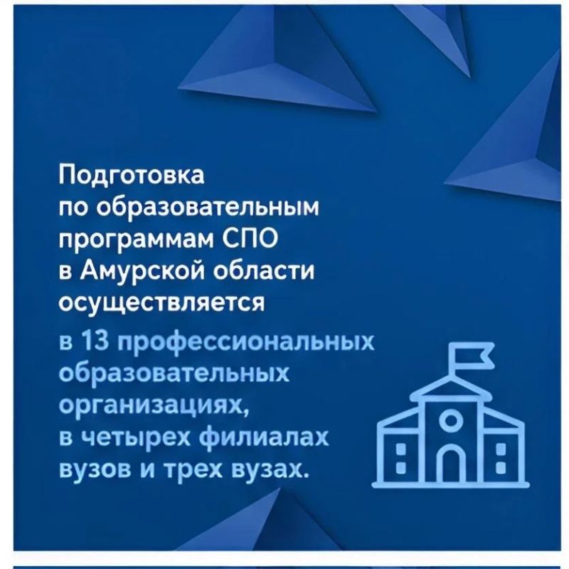 Амурский институт развития образования поделился главными цифрами в сфере СПО за 2025 год Амурский институт развития образования поделился главными цифрами в сфере СПО за 2025 год