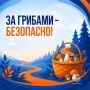 Чтобы «тихая охота» прошла безопасно