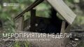 С новой рабочей неделей, благовещенцы!