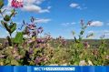 Лето не сдаётся: 28 августа в Приамурье ожидается до +25 °C