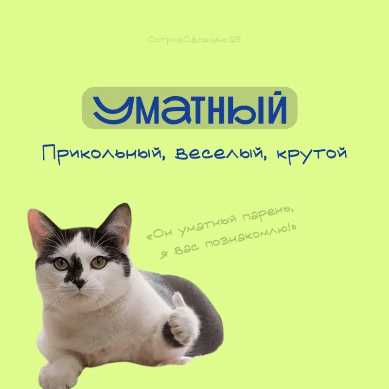Уматная булка хлеба: мы запускаем новую рубрику «Словарь амурчанина», в которой будем делиться сленгом нашей области и в принципе Дальнего Востока Уматная булка хлеба: мы запускаем новую рубрику «Словарь амурчанина», в которой будем делиться сленгом нашей области и в принципе Дальнего Востока