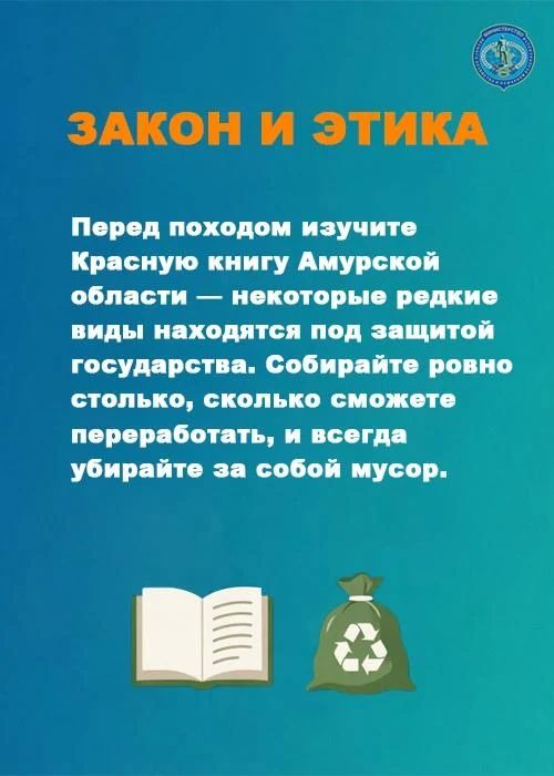 Сезон сбора грибов в Приамурье в самом разгаре Сезон сбора грибов в Приамурье в самом разгаре