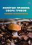 Сезон сбора грибов в Приамурье в самом разгаре