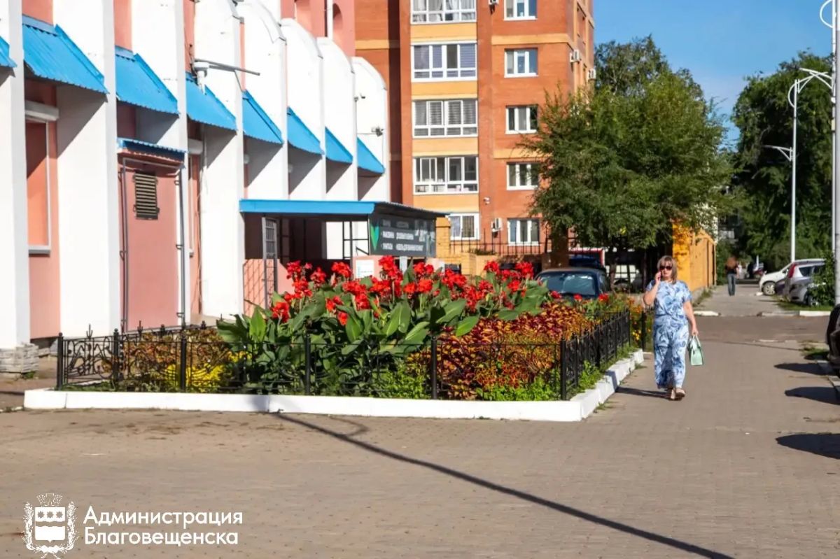 Канны, колеусы, бархатцы: как предприниматели украшают город Канны, колеусы, бархатцы: как предприниматели украшают город