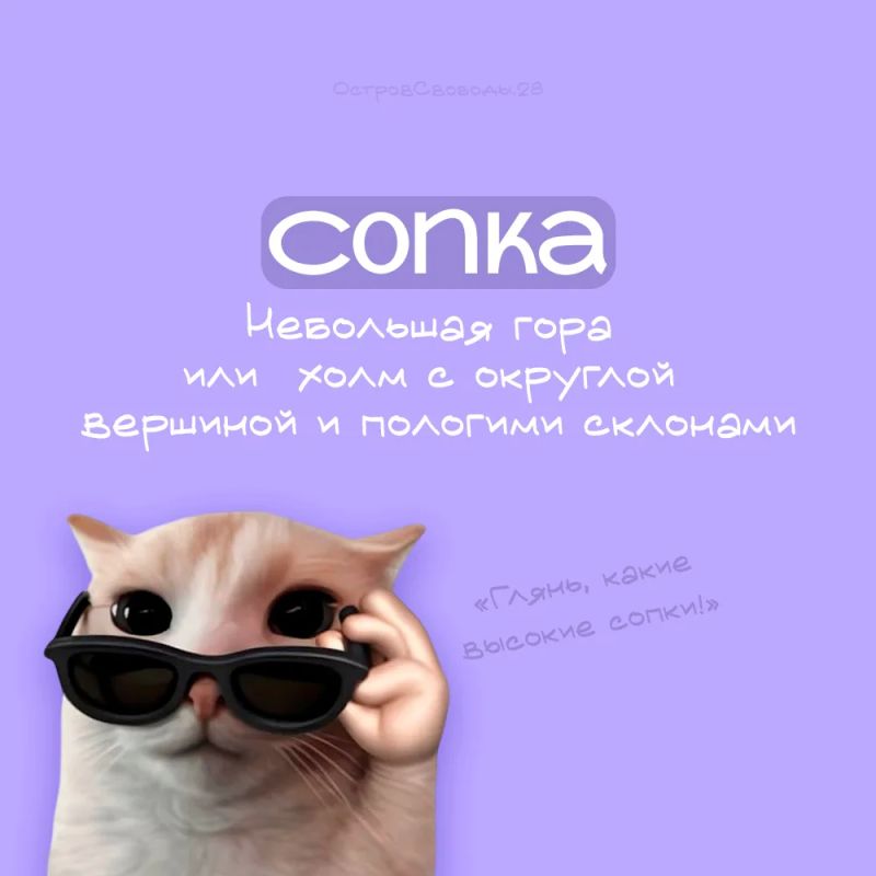 Уматная булка хлеба: мы запускаем новую рубрику «Словарь амурчанина», в которой будем делиться сленгом нашей области и в принципе Дальнего Востока Уматная булка хлеба: мы запускаем новую рубрику «Словарь амурчанина», в которой будем делиться сленгом нашей области и в принципе Дальнего Востока