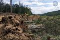 В Приамурье за черными лесорубами следят со спутника